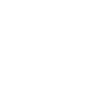 daily flower